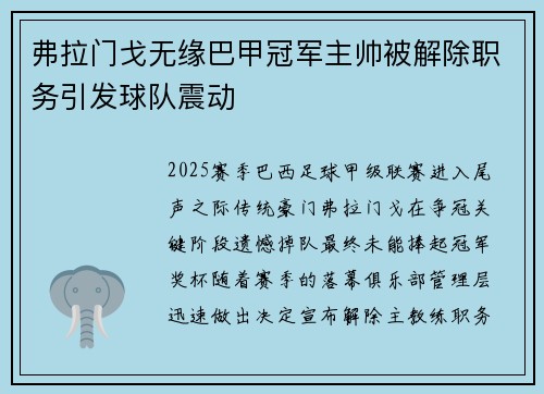 弗拉门戈无缘巴甲冠军主帅被解除职务引发球队震动